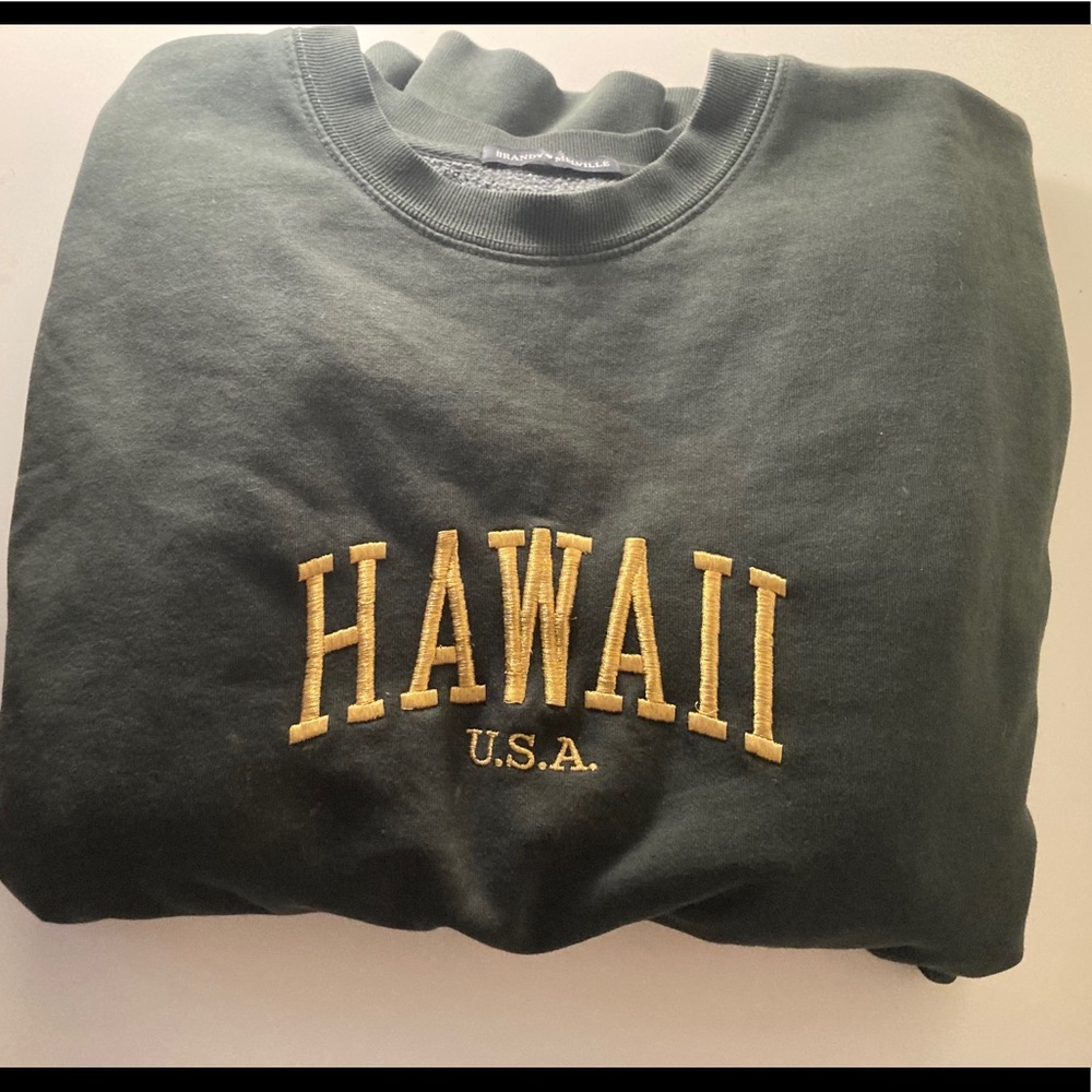 Hawaii Erica crew neck brandy Melville